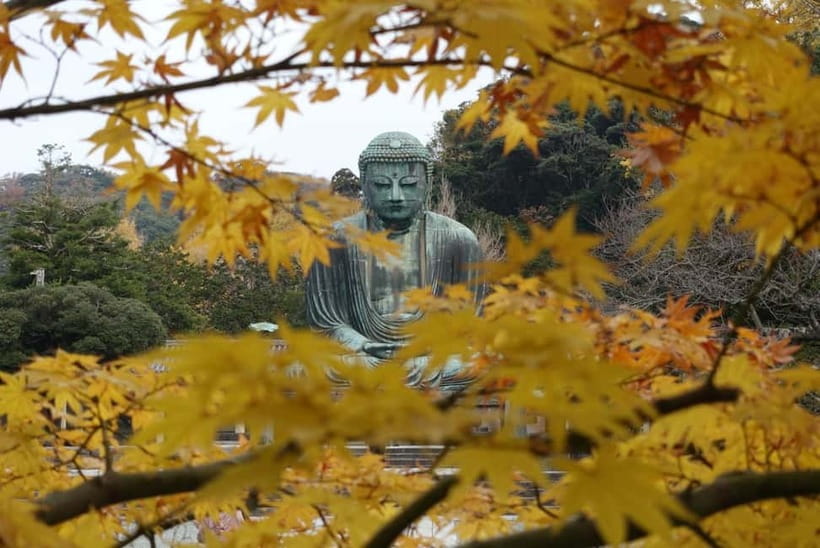 Tokyo: Kamakura & Enoshima Day Trip including Temple Tickets - Kōtoku-in and the Great Buddha: the National Treasure you can enter