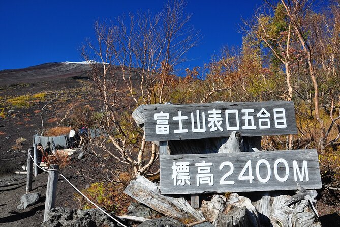 Tokyo: Mt. Fuji, Oshino Hakkai and Gotemba Outlets 1-Day Bus Tour - Key Things You’ll Notice Right Away