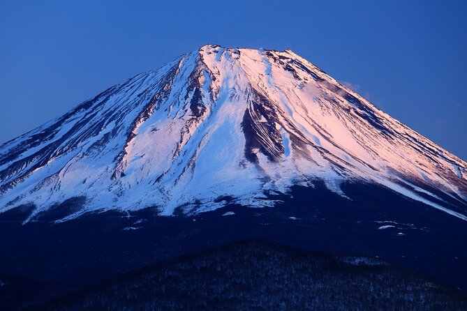 Tokyo: Mt. Fuji, Oshino Hakkai and Gotemba Outlets 1-Day Bus Tour - Mt. Fuji 5th Station: The Highest Bus Stop and Why 40 Minutes Matters