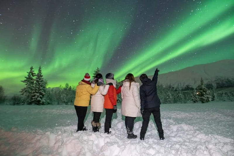 Tromsø: Aurora Safari Chase by big bus with Camp meal - Why This Tromsø Aurora Safari Ride Feels Worth It