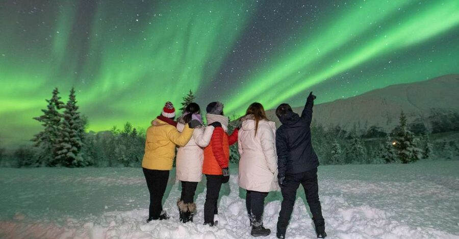 Tromsø: Aurora Safari Chase by big bus with Camp meal - Price and Value: What $146 Really Buys
