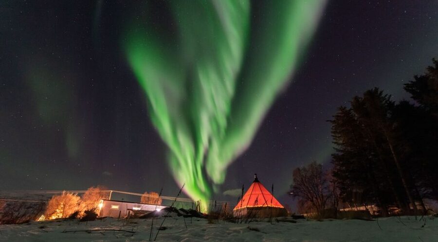 Tromsø: Aurora Safari Chase by big bus with Camp meal - Who Should Book This Tour (and Who Might Prefer Something Else)