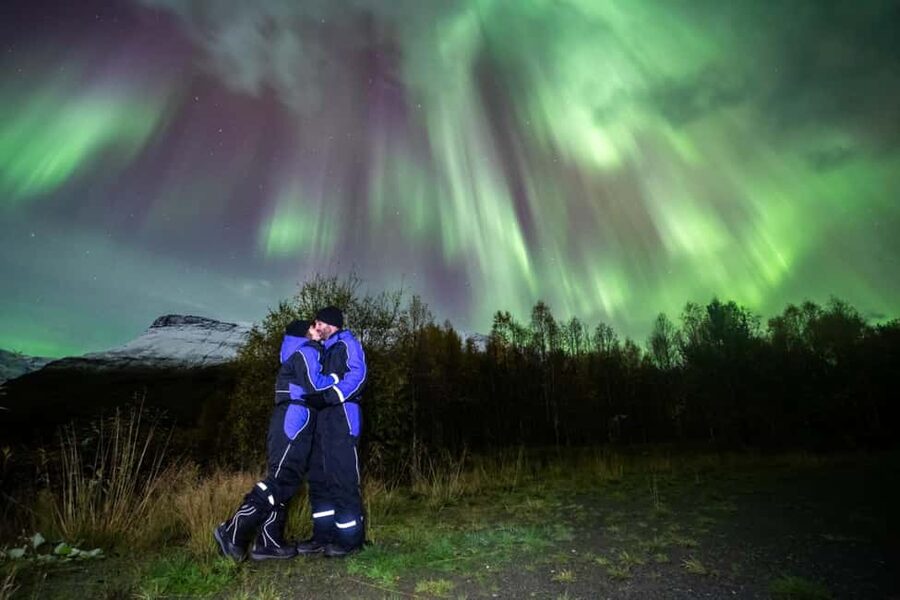 Tromsø: Big Bus Northern Lights Tour with Free Photos - Book it or skip it: Who should choose this tour in Tromsø?