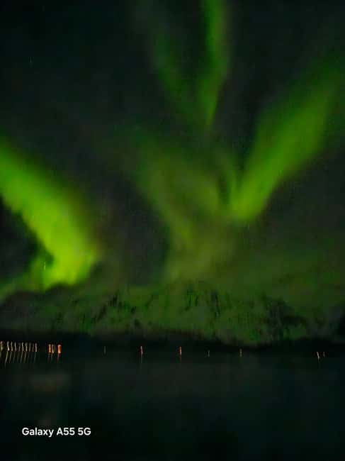 Tromsø: Northern Lights Bus Tour – Chase the Aurora Borealis - Languages and Group Comfort: Who This Tour Works For
