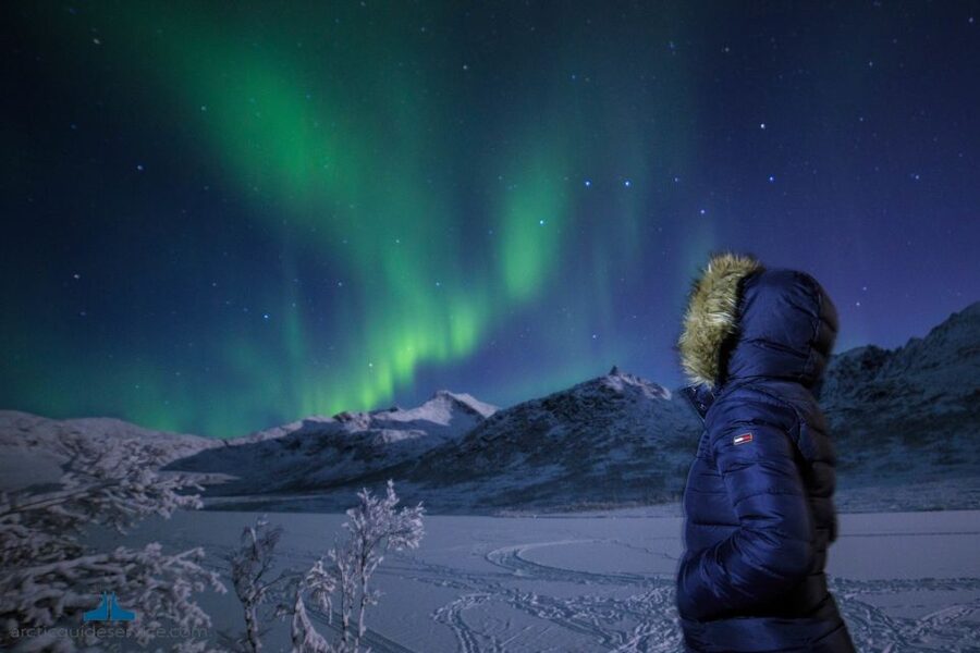 Tromso: Northern Lights Chase with Photo Package Included - Who this tour suits best (and who should skip it)