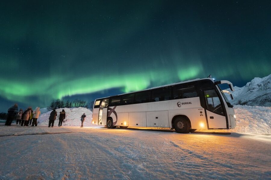 Tromso: Northern Lights Chase with Photo Package Included - Your bus ride: comfort, warm drinks, and smart waiting