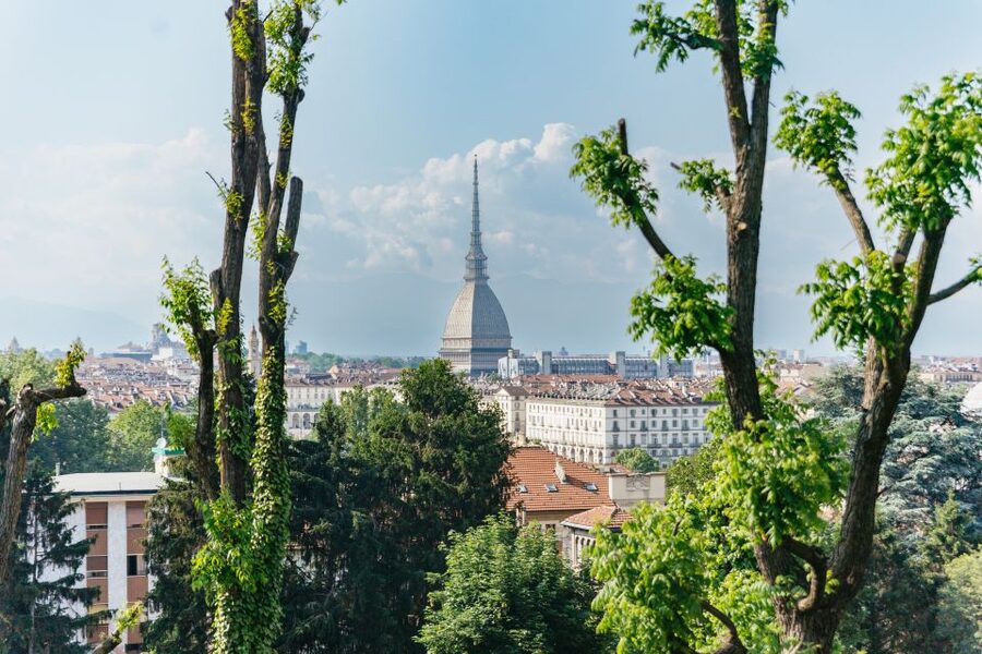 Turin: Hop-on Hop-off Bus Tour with 24 or 48-Hour Ticket - The Red Line: Piazza Castello to the Duomo Views