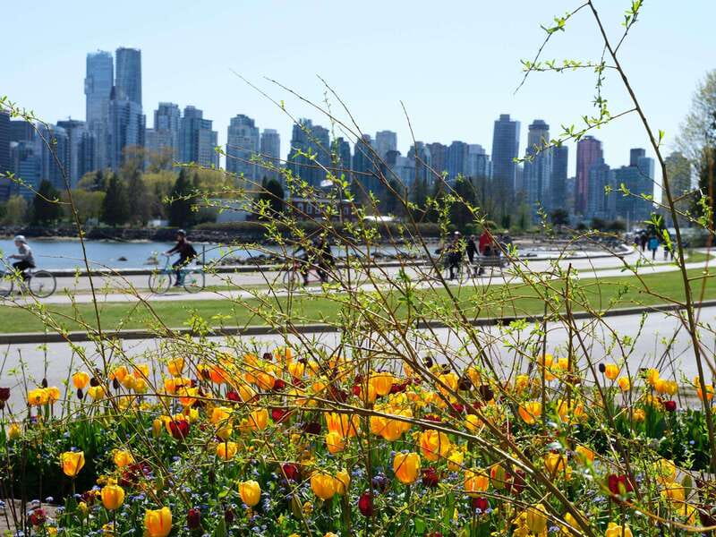 Vancouver: 24 or 48-Hour Hop-On Hop-Off Trolley Tour Pass - The On-Board Commentary: Why Guides Like Suki and George Change the Value