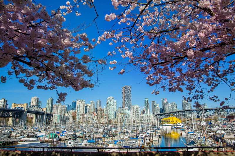 Vancouver: 24 or 48-Hour Hop-On Hop-Off Trolley Tour Pass - Price and Value: $44 Gets You Structure, Not Just a Ride