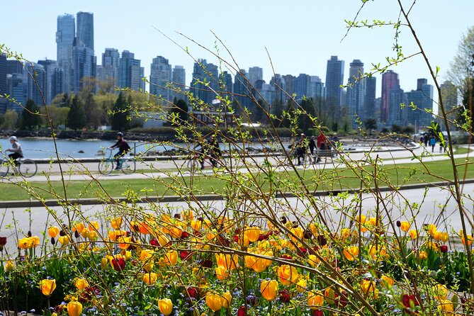 Vancouver Hop On Hop Off Trolley Tour - Stop-finding tips so you don’t waste your exploration time