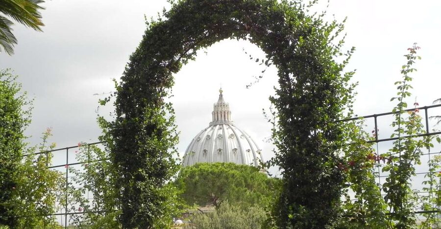 Vatican: Vatican Gardens with Bus Tour & Vatican Museums - Minibus through the gardens: what to expect from the ride