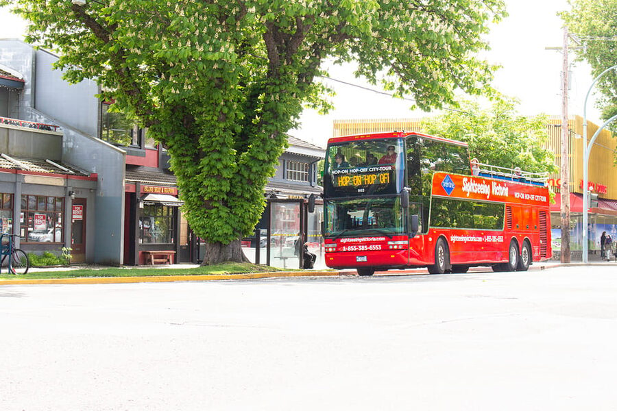 Victoria: Hop-On-Hop-Off Sightseeing Bus Tour - What the Narration Actually Adds (History + Indigenous Cultures)