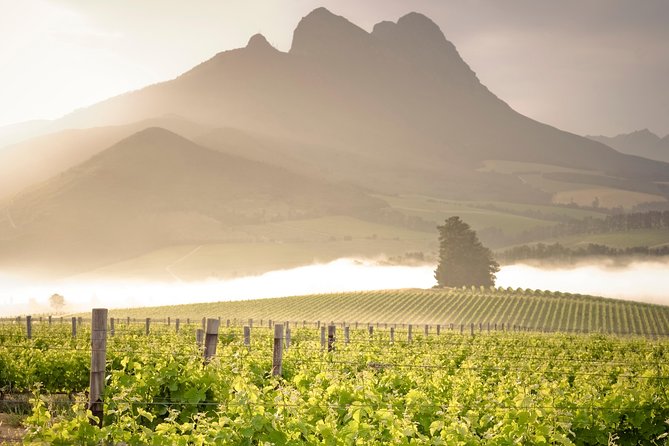Vine Hopper: Hop-On Hop-Off Wine Tour - Northern Route - Key things I’d pay attention to