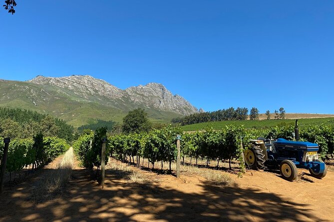 Vine Hopper: Hop-On Hop-Off Wine Tour - Northern Route - Why This Northern Route Feels Like a Win (Even If You’re Not a Full-Time Wine Nerd)