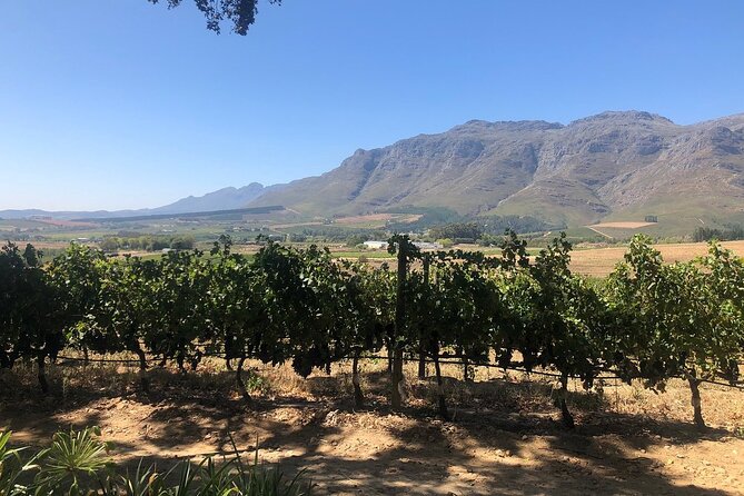Vine Hopper: Hop-On Hop-Off Wine Tour - Northern Route - Pickups, Meeting Points, and the One Thing You Should Confirm