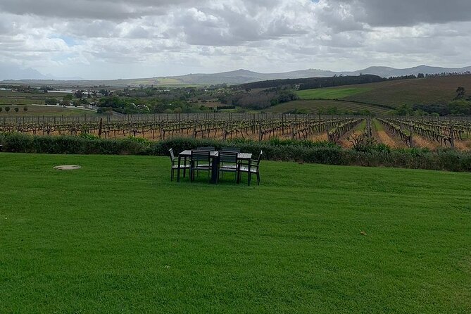 Vine Hopper: Hop-On Hop-Off Wine Tour - Southern Route - How the Hop-On Hop-Off Stellenbosch Southern Route Really Works