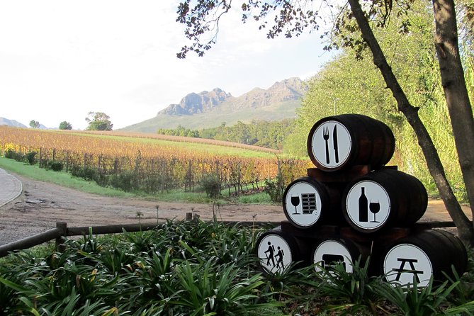 Vine Hopper: Hop-On Hop-Off Wine Tour - Southern Route - Planning Tastings and Food Without Getting Rushed