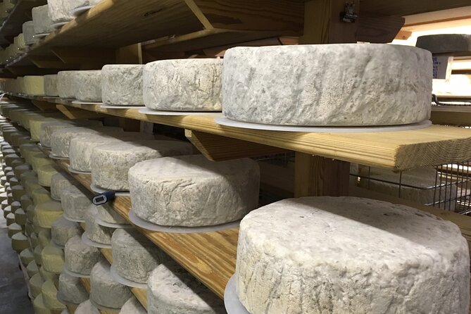 Vineyard & Cheesemaker Bus Tour of Sussex - Sussex High Weald Dairy Lunch: Cheese With Real Pairing Thinking