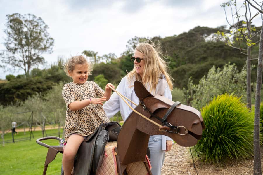Waiheke Island: Ferry & Hop-On Hop-Off Explorer Bus Tickets - Key highlights worth planning around