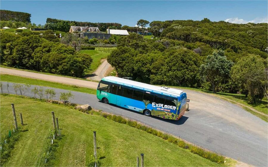 Waiheke Island: Ferry & Hop-On Hop-Off Explorer Bus Tickets - Beaches and nature walks: Onetangi and Whakanewha-style breaks