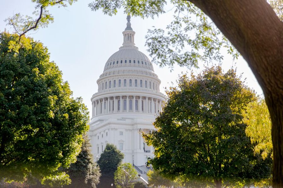 Washington DC: Bus Tour to the Highlights of the Capital - Bus comfort, group flow, and small hiccups to plan around