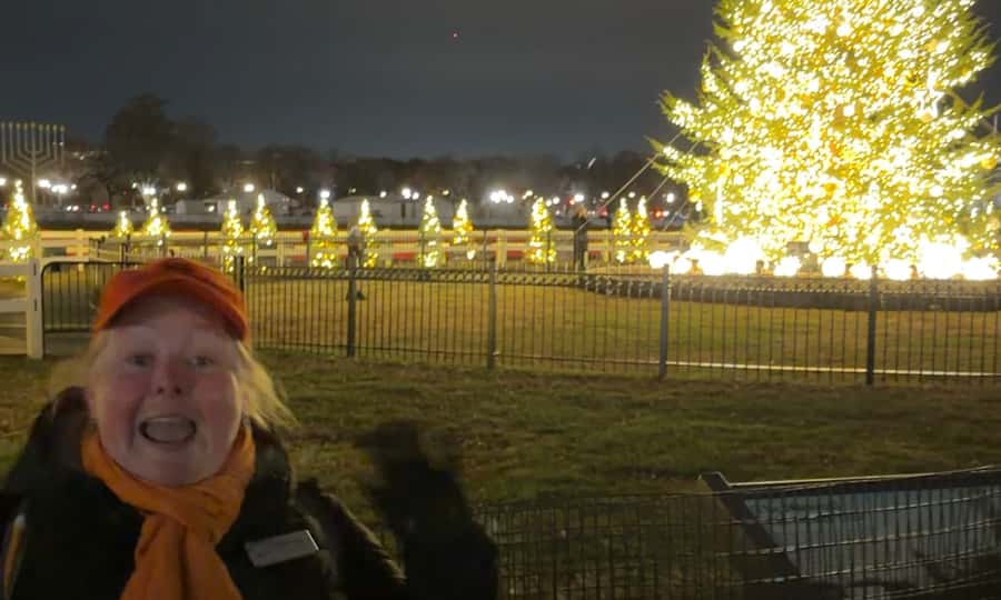 Washington, DC: Christmas Tree & Holiday Lights Bus Tour - A 2.5-Hour Holiday Circuit That Hits DC’s Biggest Icons