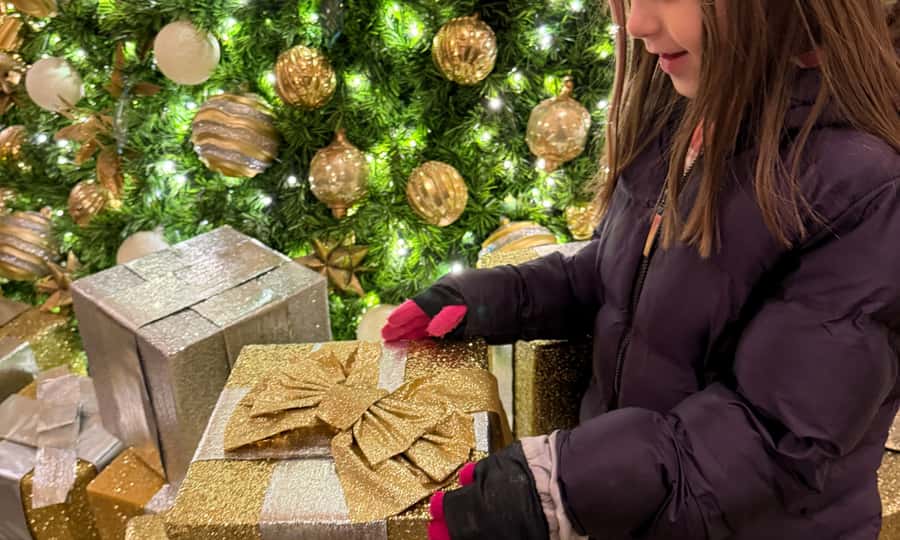 Washington, DC: Christmas Tree & Holiday Lights Bus Tour - National Christmas Tree and the Pathway of Peace