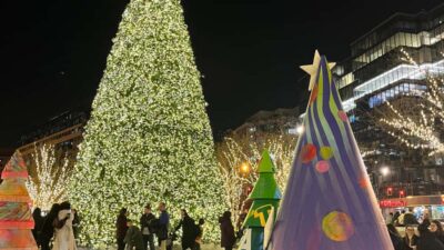 Washington, DC: Christmas Tree & Holiday Lights Bus Tour - Meeting Point Near the Willard Hotel (and Why It’s Easy)