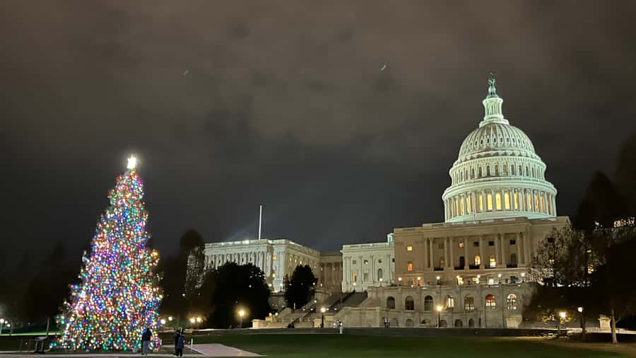 Washington, DC: Christmas Tree & Holiday Lights Bus Tour - What $60 Buys You (and Why It Can Be Worth It)