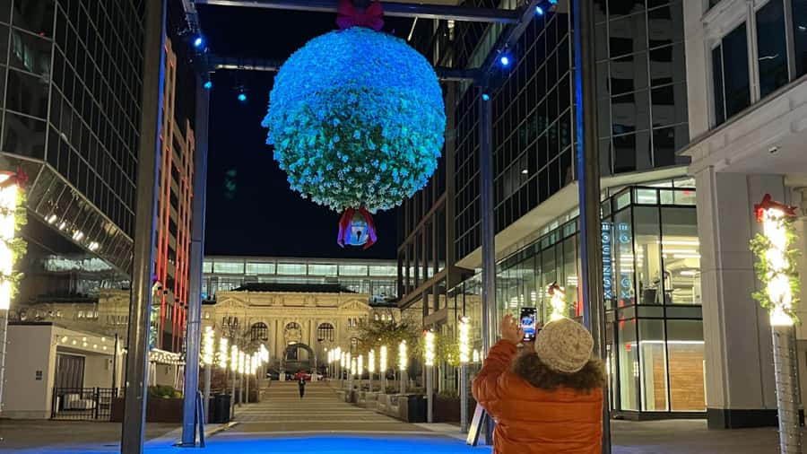 Washington, DC: Christmas Tree & Holiday Lights Bus Tour - Who This Tour Suits Best (and Who Should Rethink It)