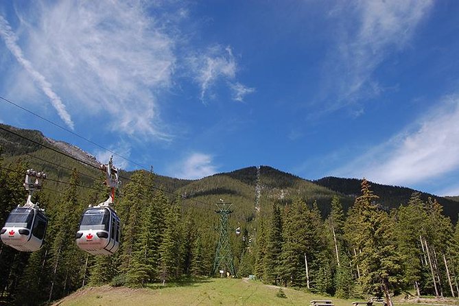 Western Classic - One Way Calgary To Vancouver Rockies Bus Tour - Day 1: the long transfer into Jasper