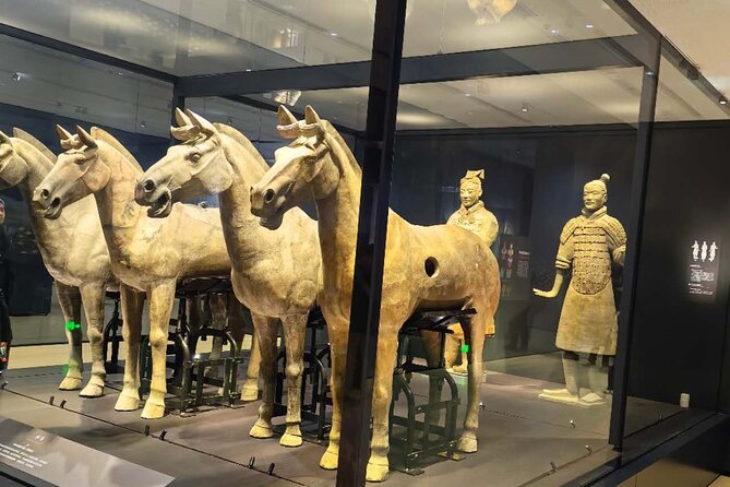 ZANBUS: Xi'an Qin Terra-cotta Warriors Bus Tour Departs at 8/9 AM - What you’re really booking: a focused Terracotta Army day